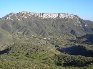 Peas Blancas  - Cartagena 2007-04-07