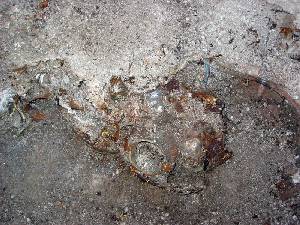 Imagen de las piezas antes de su extraccin