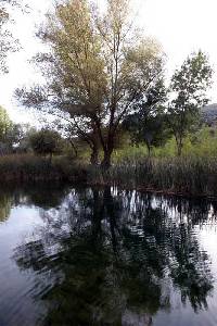 lamos de Agua Cernida