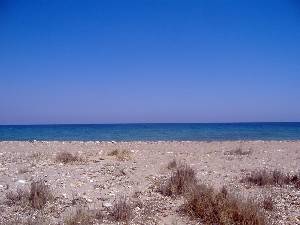 Vista de la Playa 