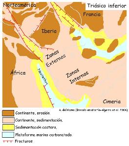Figura 1: Reconstrucción paleogeográfica del Mediterráneo occidental durante el Triásico inferior, basada en la modificación de Martín-Algarra et al. (2004) de Ziegler (1988). En Vera, J. A. (2004). 