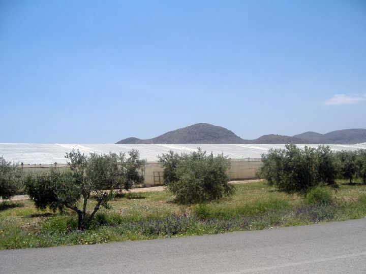 Ifre Pastrana Regi n De Murcia Digital Ifre Pastrana Regi n De Murcia Digital