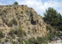 Calizas marinas del Trisico medio (facies Muschelkalk) del Subbtico de Abarn. Los estratos han sido plegados y cabalgan sobre materiales ms modernos por accin de la Orogenia A