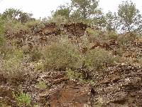 Arenicas silceas permotrisicas del Alpujrride de la rambla del Puerto (Murcia)