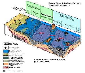 Figura 5: Reconstrucción paleoambiental de las Zonas Externas de la cuenca Bética durante el Lías superior, basada en García Hernández et al (1980).