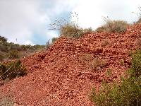 Margocalizas nodulosas rojas del Jursico superior de la sierra de Lugar (Fortuna)