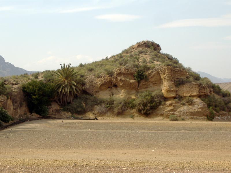 Alrededores de Cocn [Cocn]. 