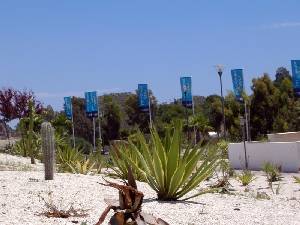 Detalle de Jardn 