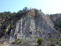 Alternancia de margas anxicas y margocalizas del Cretcico inferior de Abarn, plegadas por la Orogenia Alpina