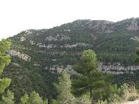 La sierra del Carche es un ejemplo excepcional de ambientes marinos arrecifales del Cretcico del Prebtico de las zonas Externas. En la imagen el barranco de Guarafia