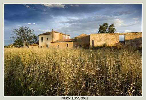 Obra de Néstor Lisón. 