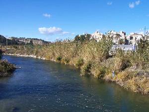 El ro Segura a su paso por Cieza