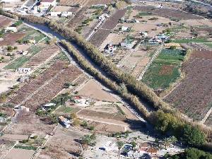 La huerta de Cieza junto al ro Segura 