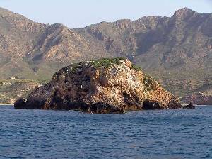 Isla de Cueva de Lobos, en Mazarrn