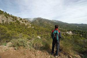 Senda de las Alqueras