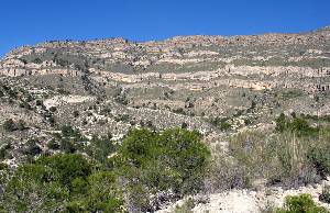 La ladera sur de la sierra de la Pila, en Abarán. En la base margas cretácicas, y los farallones están formados por calizas paleógenas y neógenas