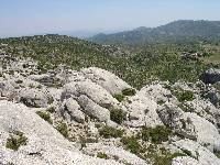 Paleokarst de Charn (Moratalla). Este paleorelieve se origin hace unos 40 Ma., afecta calizas marinas del Paleoceno, y est fosilizado por rocas del Mioceno inferior-medio