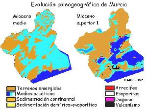 Figura 5: Reconstrucción paleogeográfica de la Región de Murcia durante el Mioceno medio y superior