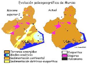 Figura 6: Reconstrucción paleogeográfica de Murcia a finales del Mioceno superior