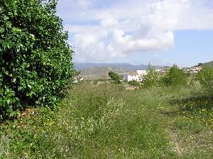 Collado de los Gabrieles 