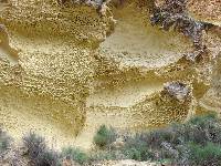 Areniscas con erosin en panal de abejas (Estrecho de la Agualeja, Aledo)