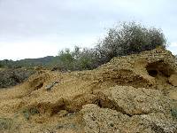 Dunas fsiles de Calblanque