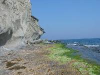 Plataforma de abrasin y acantilado en las rocas volcnicas de la Carolina (guilas)