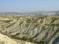 Crcavas de la rambla de Benito (Abarn). Al fondo (con cultivos de frutales) un pequeo glacis que parte de la sierra del Oro