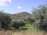 Sierra y Olivos