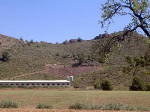 Granja Porcina 