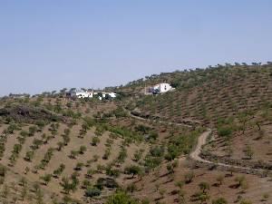 Casa y Ermita de los Morotes 