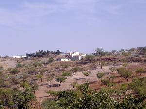 Cortijo en Zarzalico 