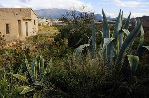 Vista del Pueblo 