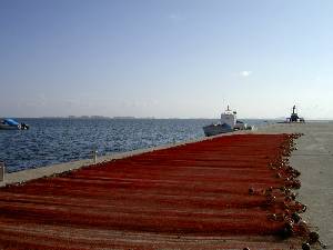 Redes de pesca en el Mar Menor [Salazones]