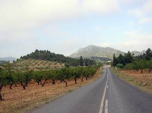 Vista de la Sierra de Qupar 