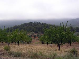 Paisajes de Burete 