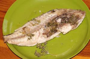 Dorada a la plancha con hinojo 