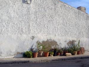 Detalle de una Vivienda 