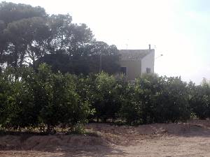 Finca Lo Llerena 