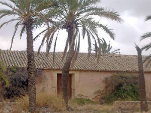 Finca de la Molina 