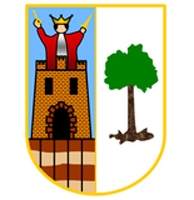 Escudo del Club Deportivo Puerto Lumbreras