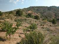 Sierra del Carche