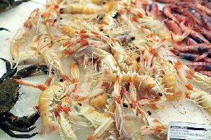 Cigalas  y gambas en el mercado [Cigala]