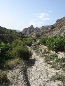 Restos de acequia medieval en el Valle de Ricote