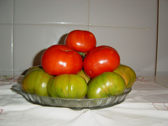 Tomates Murcianos