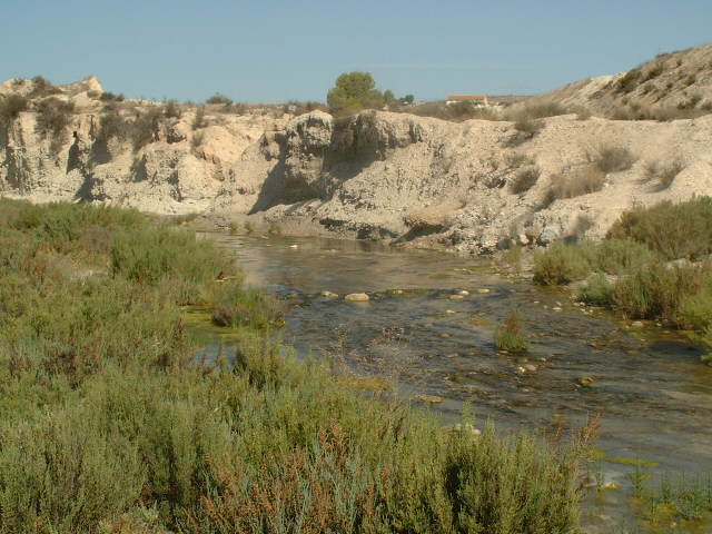 Humedal del Ajauque Fortuna