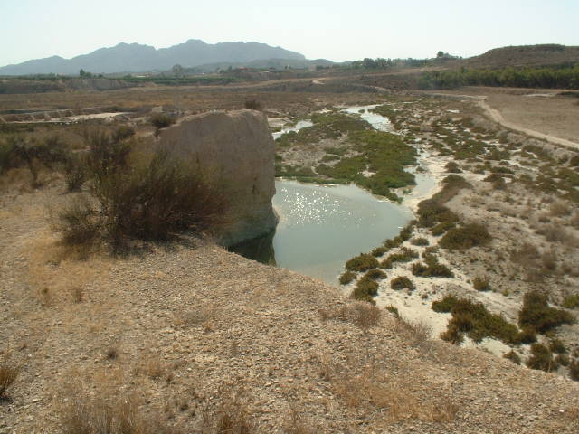 Humedal del Ajauque 