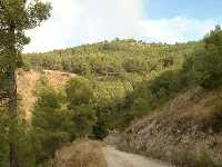 Subida al Mirador de la Sierra de la Pila