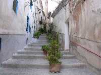 El Callejn de Las Flores