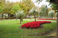 Que bonico est Molina repleto de Florecicas de Pascua!